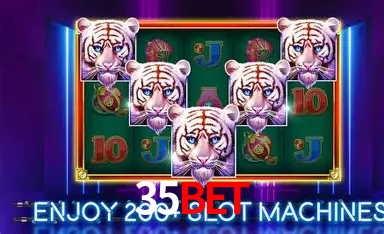 Descubra a Essência do 35bet: Nossa História e Compromissos